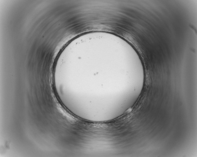 X0000102281136200808151921