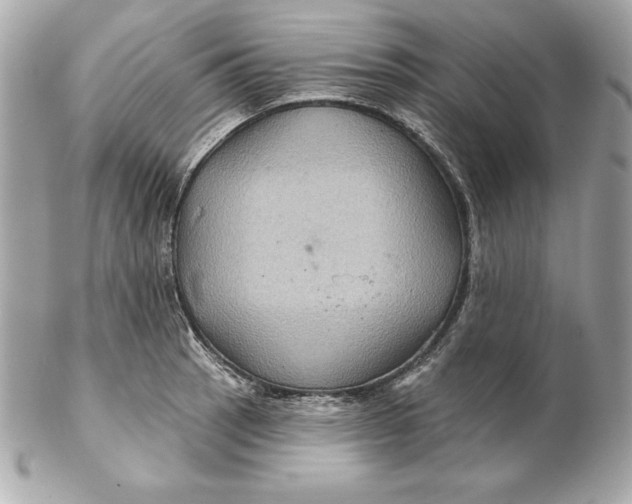 X0000102281137200808151921