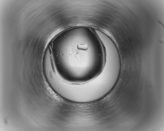 X0000102281138200808151921