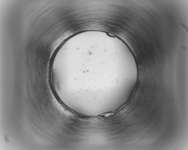 X0000102281139200808151921