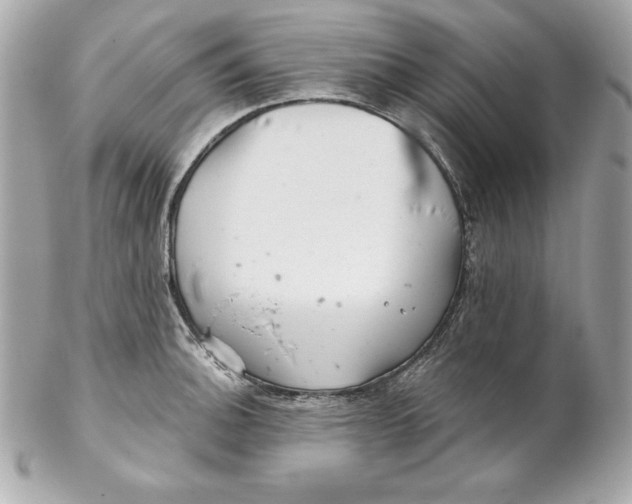 X0000102281140200808151921