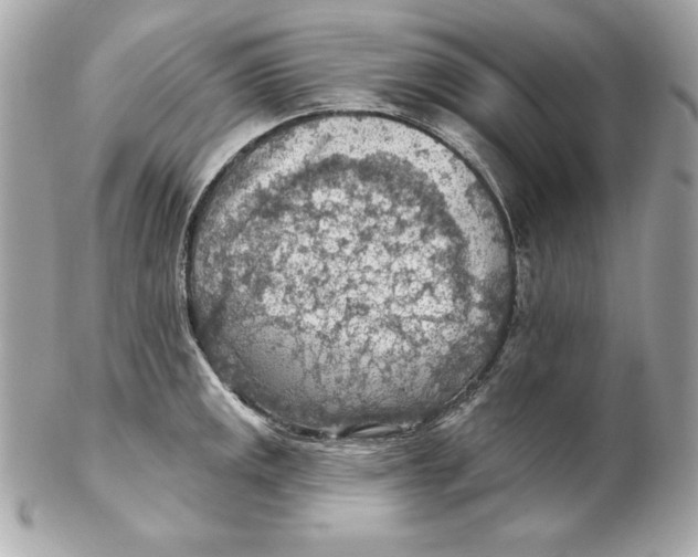 X0000102281141200808151921