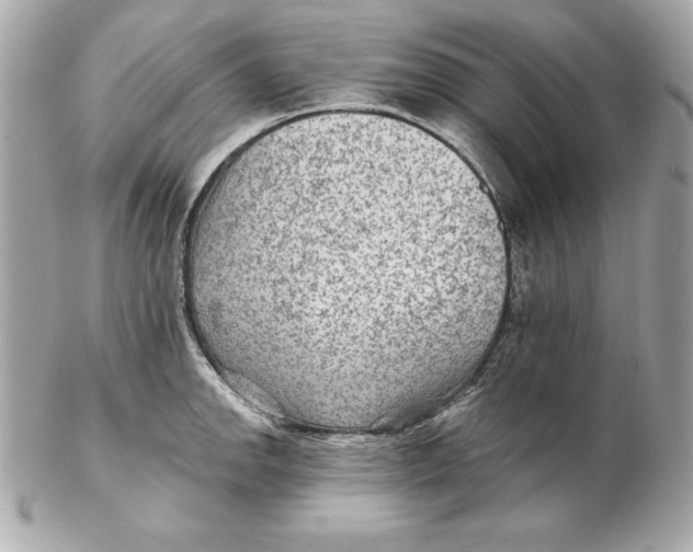 X0000102281142200808151921