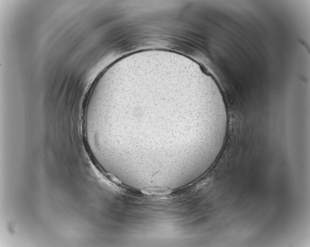 X0000102281143200808151921