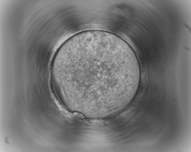 X0000102281144200808151921