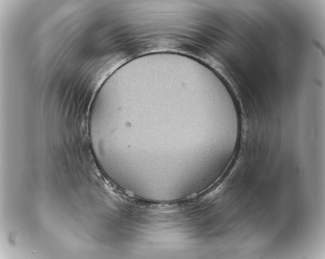 X0000102281145200808151921