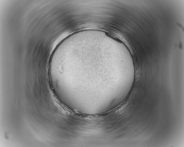 X0000102281146200808151921