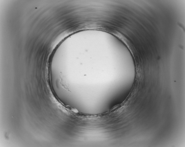 X0000102281147200808151921