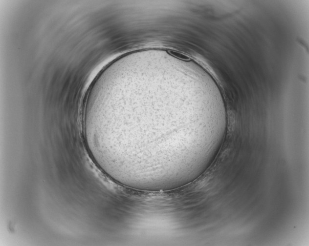 X0000102281148200808151921