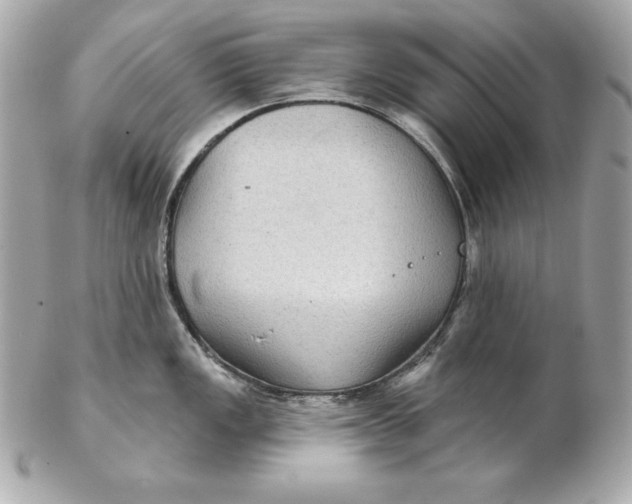 X0000102281149200808151921