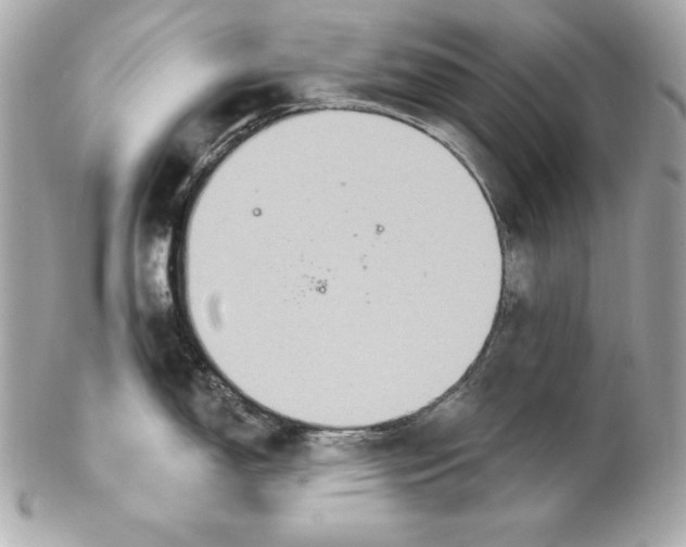 X0000102281150200808151921