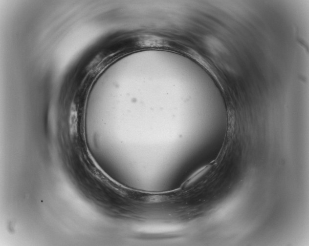 X0000102281151200808151921