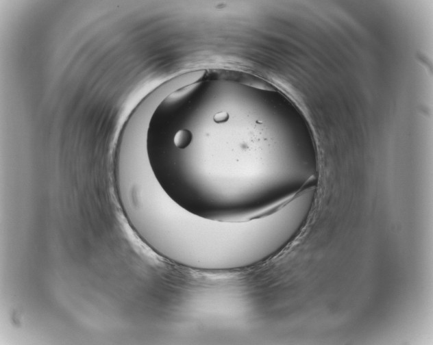 X0000102281152200808151921