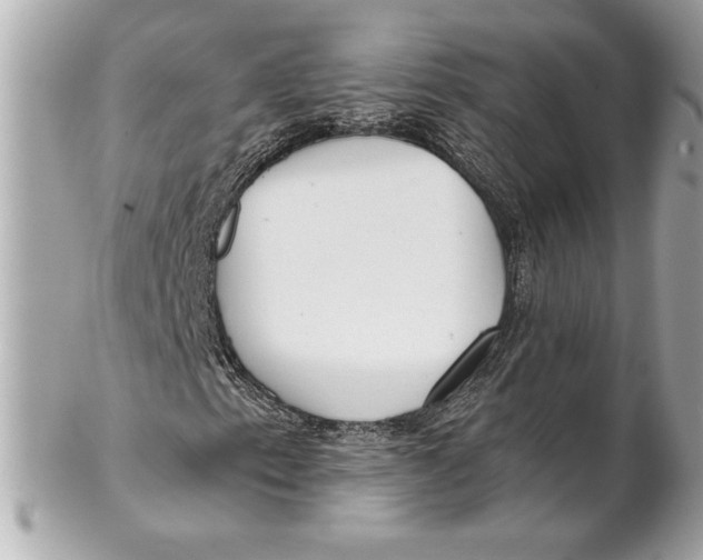 X0000102281153200808151920