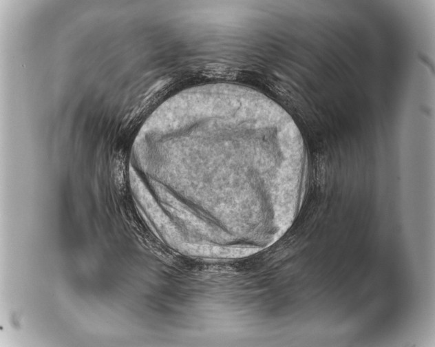 X0000102281154200808151920