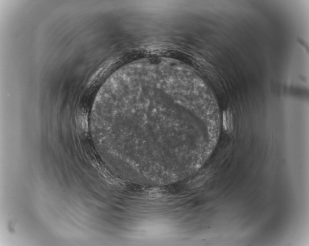 X0000102281155200808151920