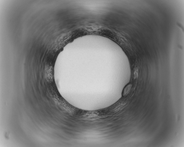 X0000102281156200808151920