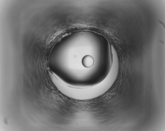 X0000102281157200808151920