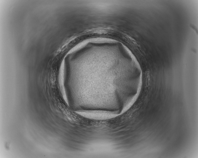 X0000102281158200808151920