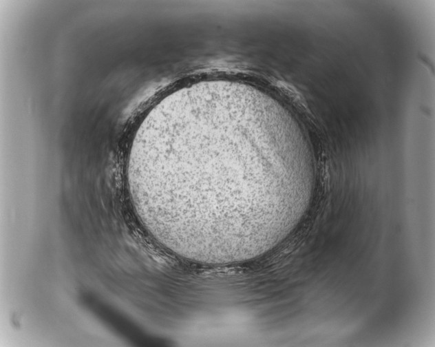 X0000102281159200808151920