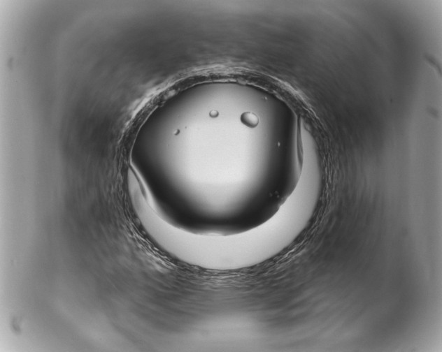 X0000102281160200808151920