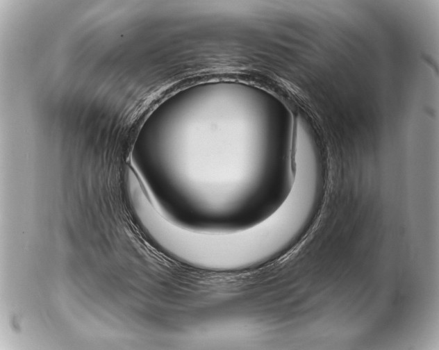 X0000102281161200808151920