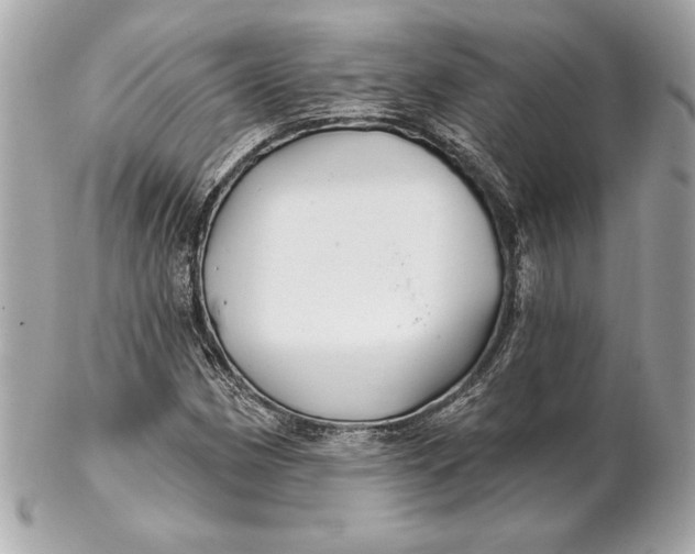 X0000102281162200808151920