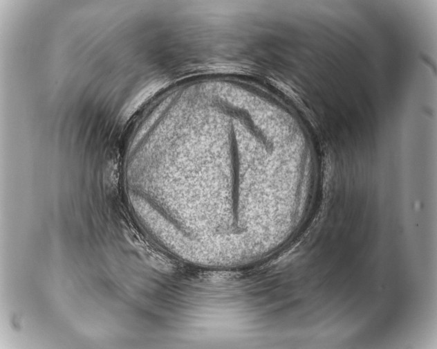 X0000102281163200808151920