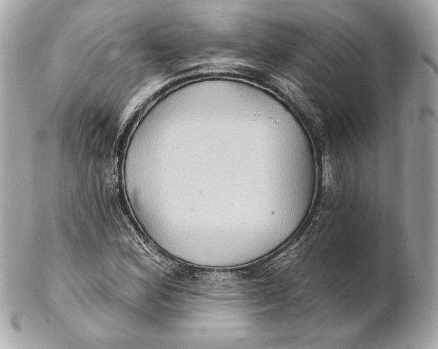 X0000102281164200808151920