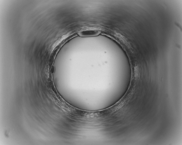 X0000102281165200808151920