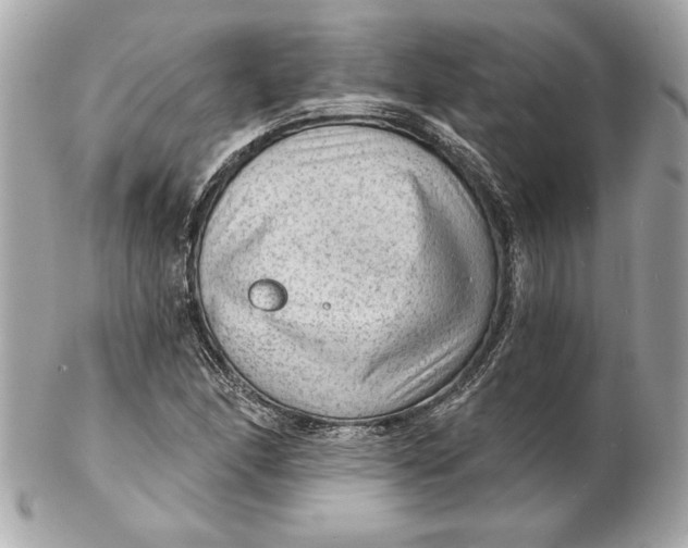 X0000102281166200808151920