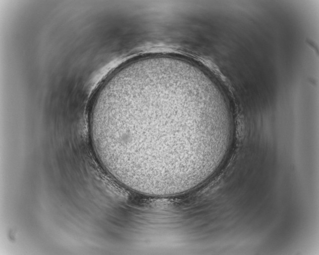 X0000102281167200808151920