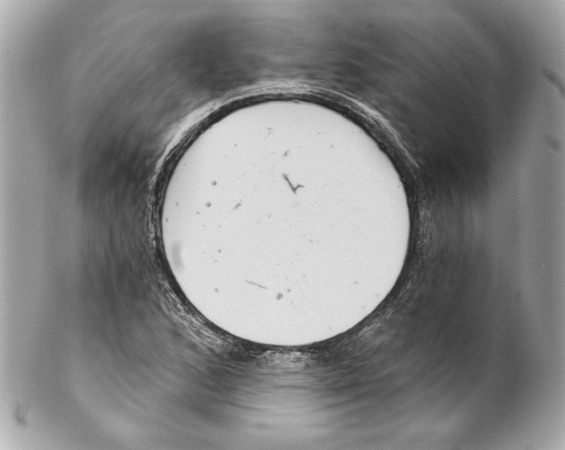 X0000102281168200808151920