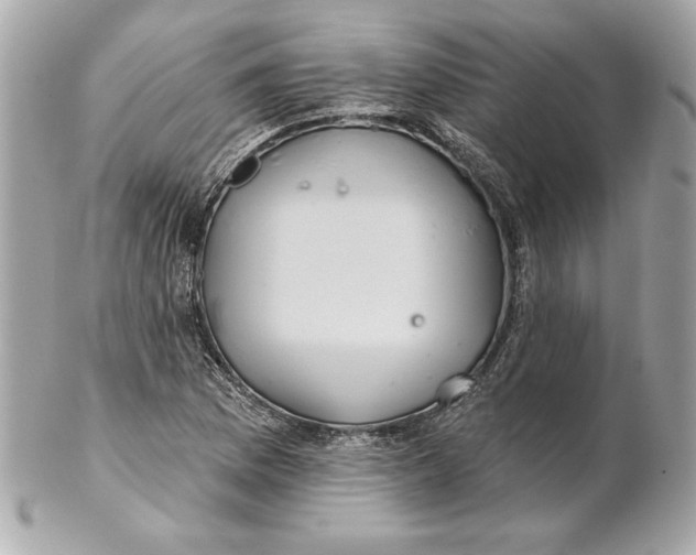 X0000102281169200808151920