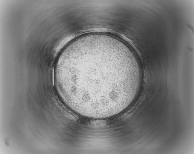 X0000102281171200808151920