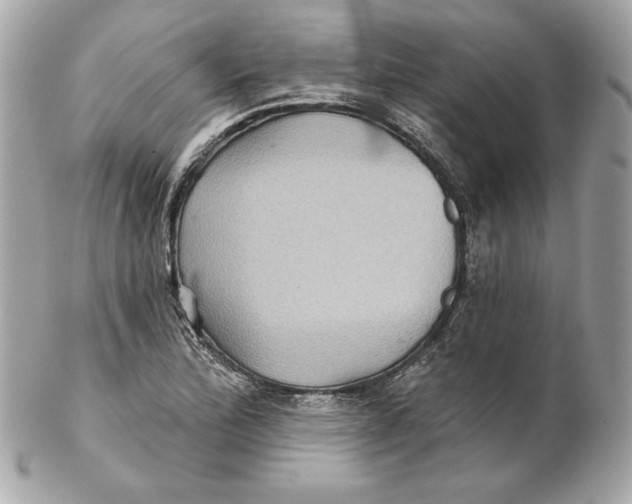 X0000102281172200808151920