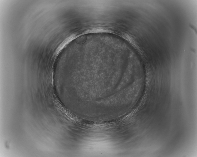 X0000102281173200808151920