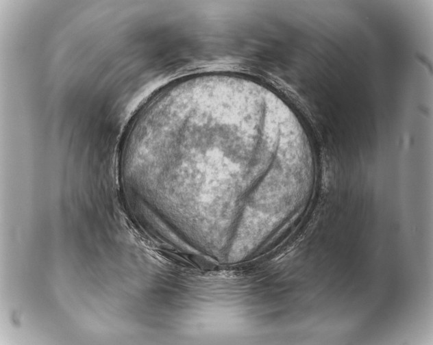 X0000102281174200808151920