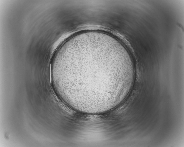 X0000102281175200808151920