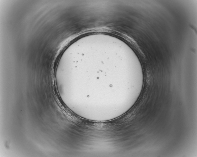 X0000102281176200808151920