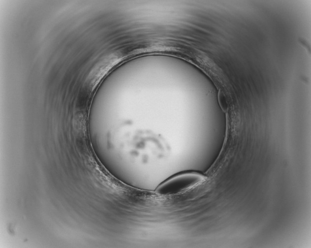 X0000102281177200808151920