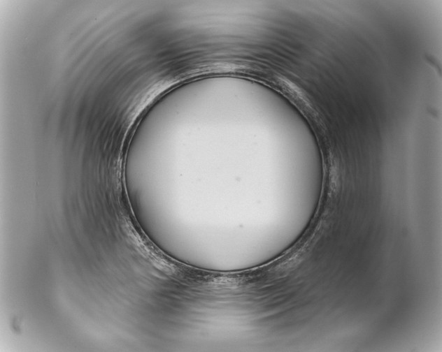 X0000102281178200808151920