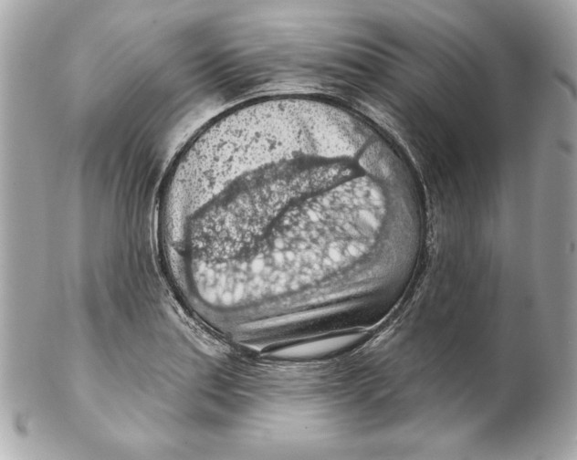 X0000102281179200808151920