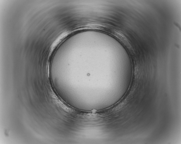 X0000102281180200808151920