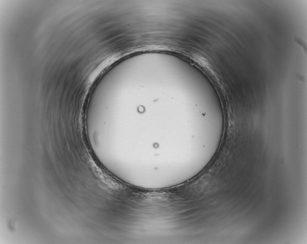 X0000102281181200808151920