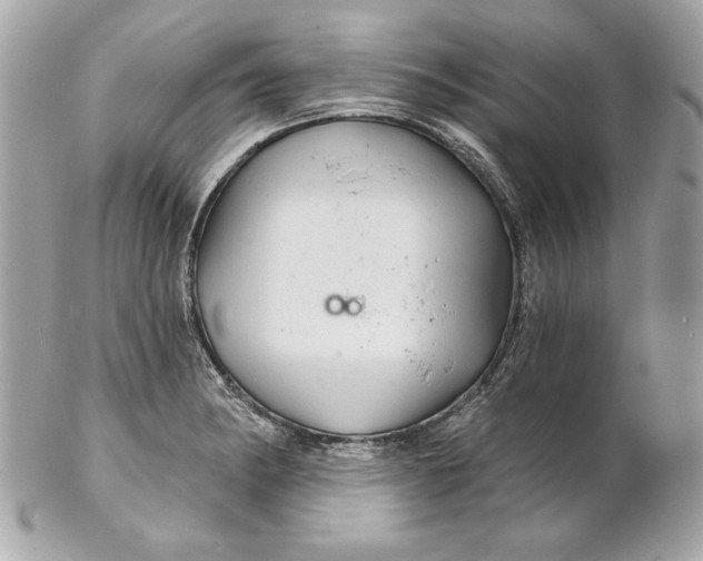 X0000102281182200808151920