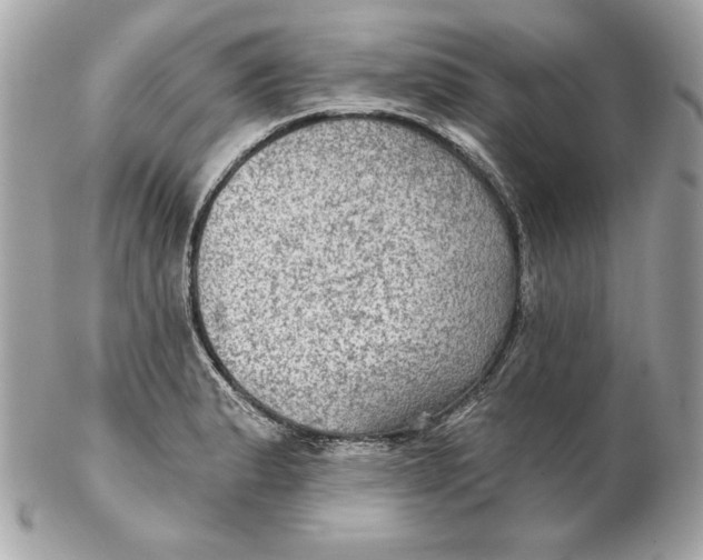 X0000102281183200808151920