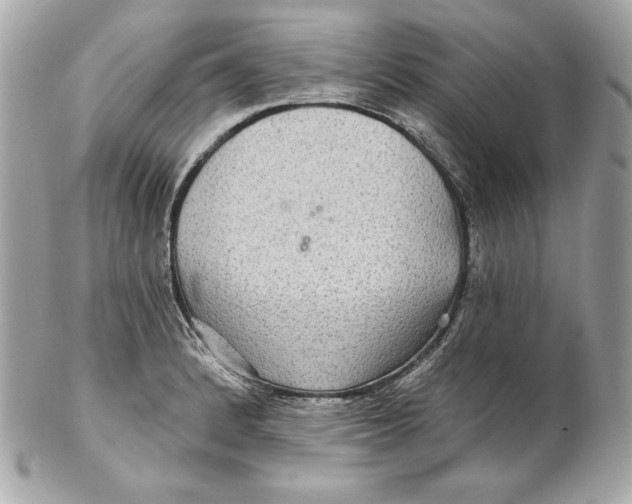 X0000102281184200808151920