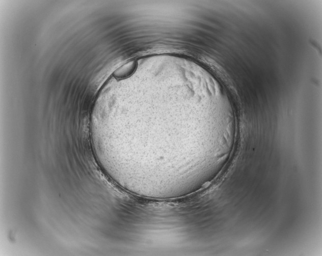 X0000102281185200808151920