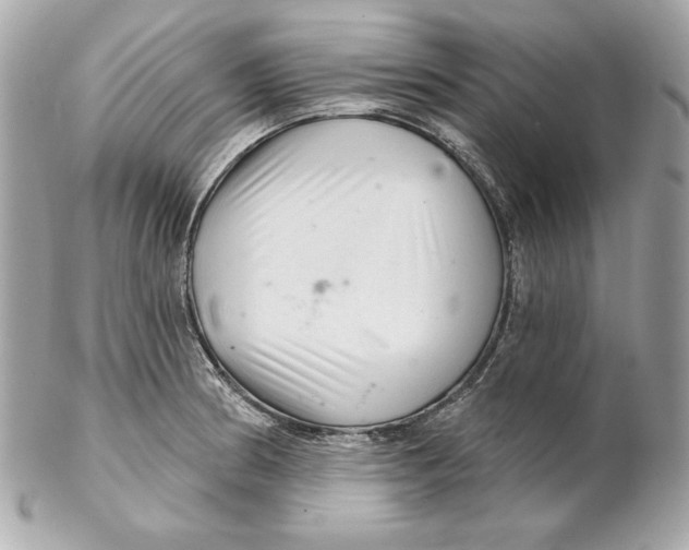 X0000102281186200808151920